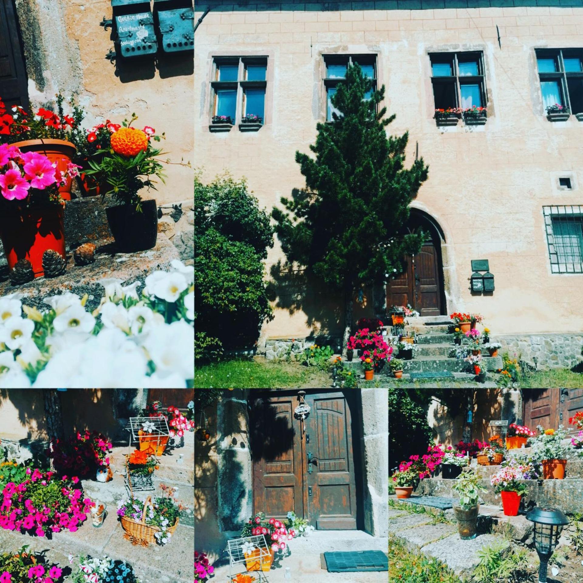 Gothic House Apartments Kremnica Εξωτερικό φωτογραφία